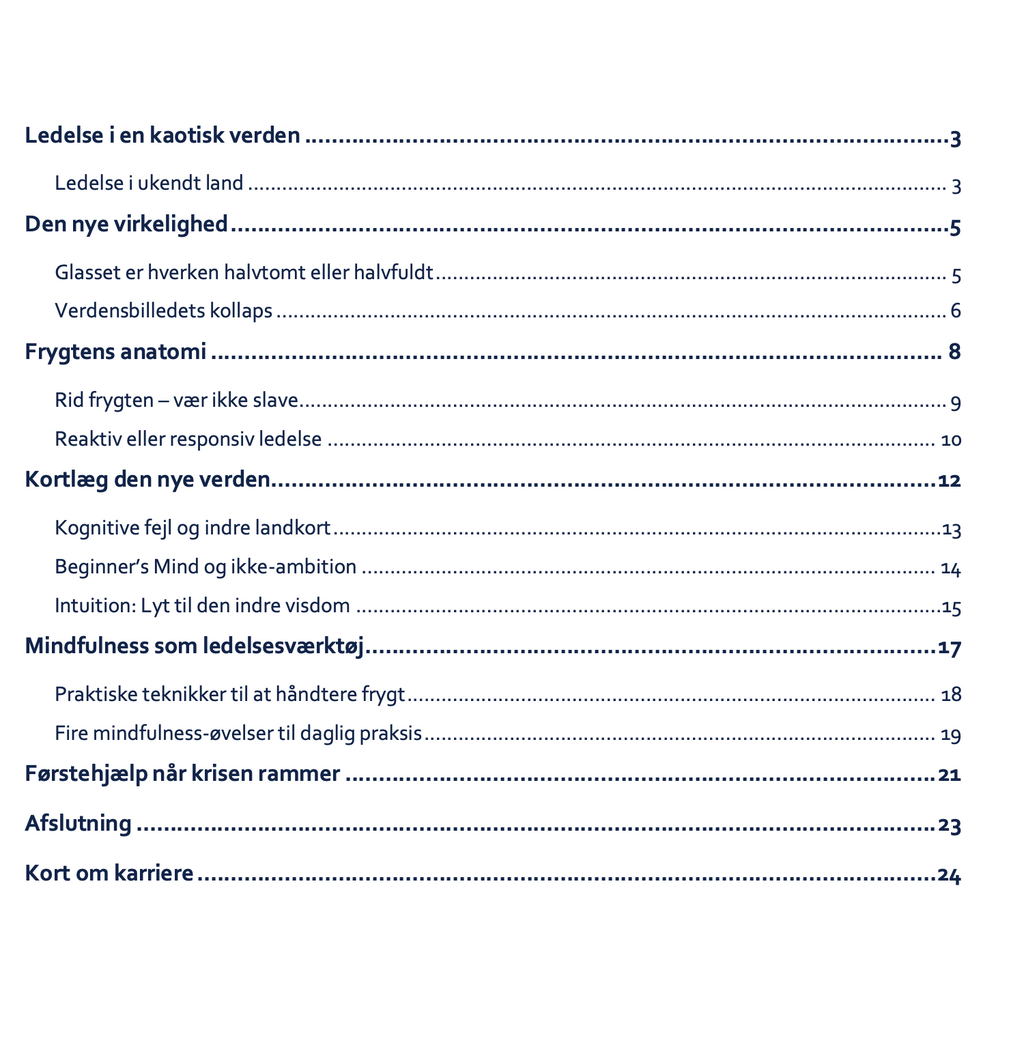 LEDELSE I KAOS 1